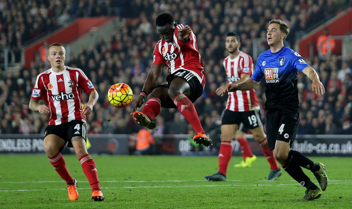 长在混乱中 长在混乱中